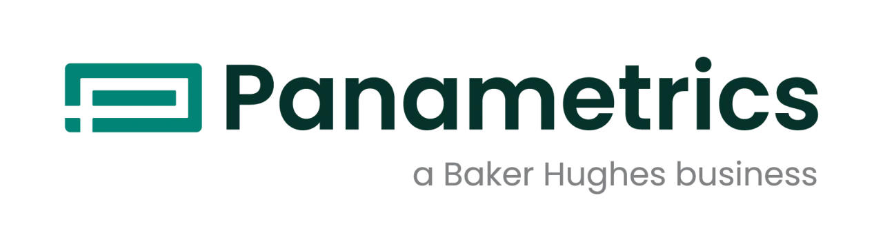 PANAMETRICS